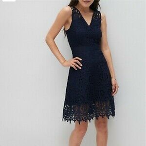 Banana Republic Navy Petite Dress